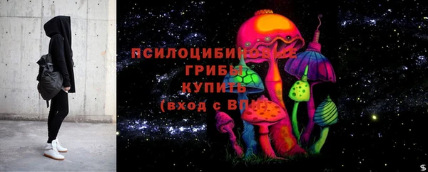 прущая мука Вяземский